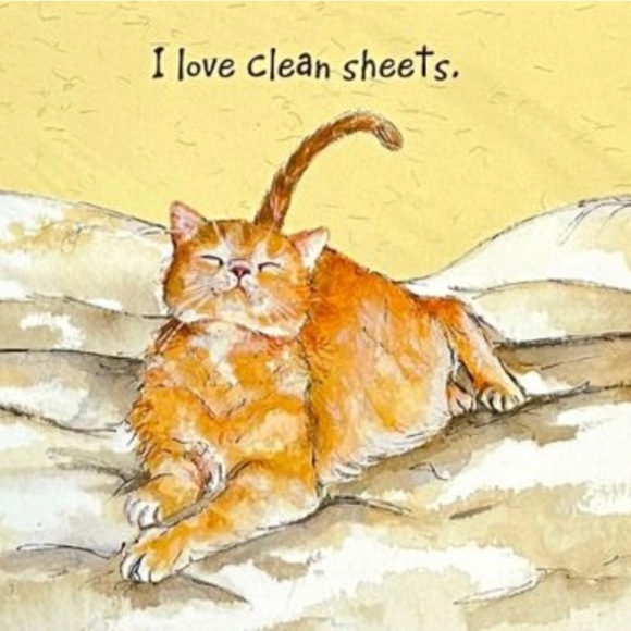 Clean Sheets Cat Greeting Card - Picture 5 of 8